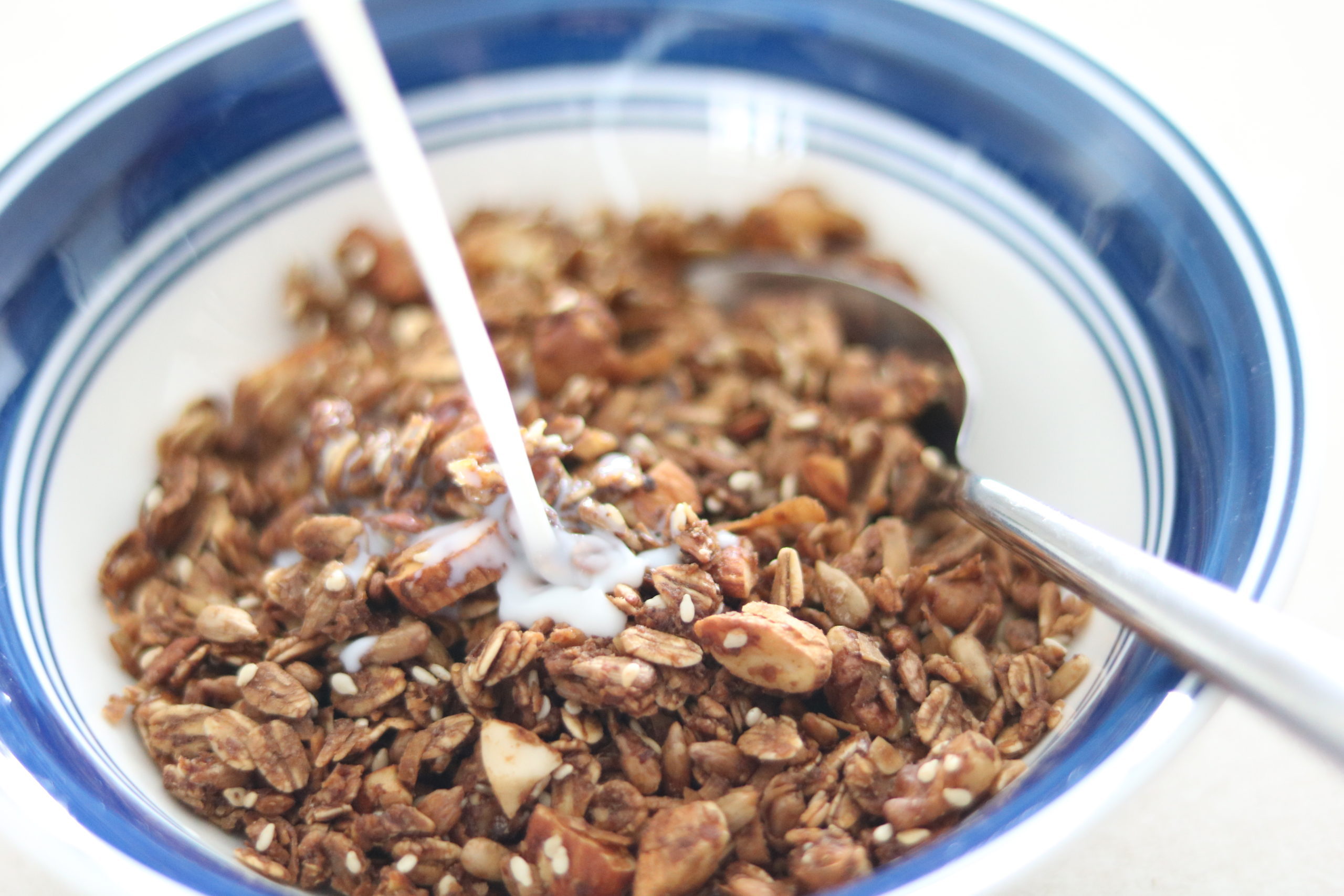 mom's famous granola