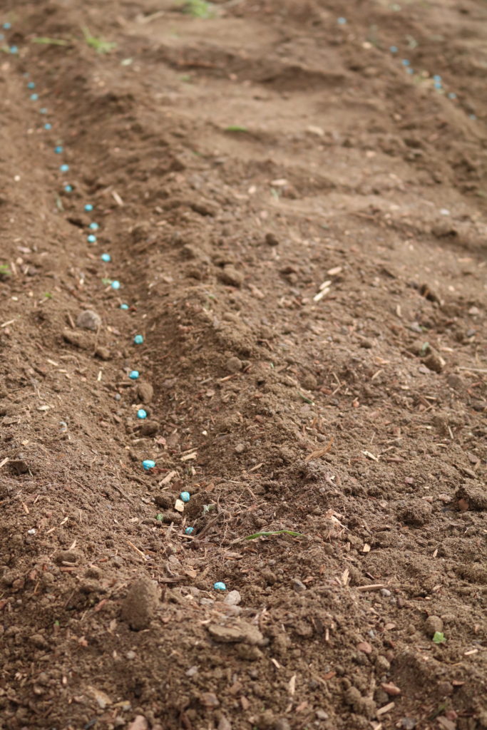 prepping your garden