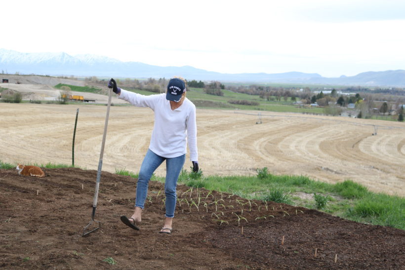 prepping the garden