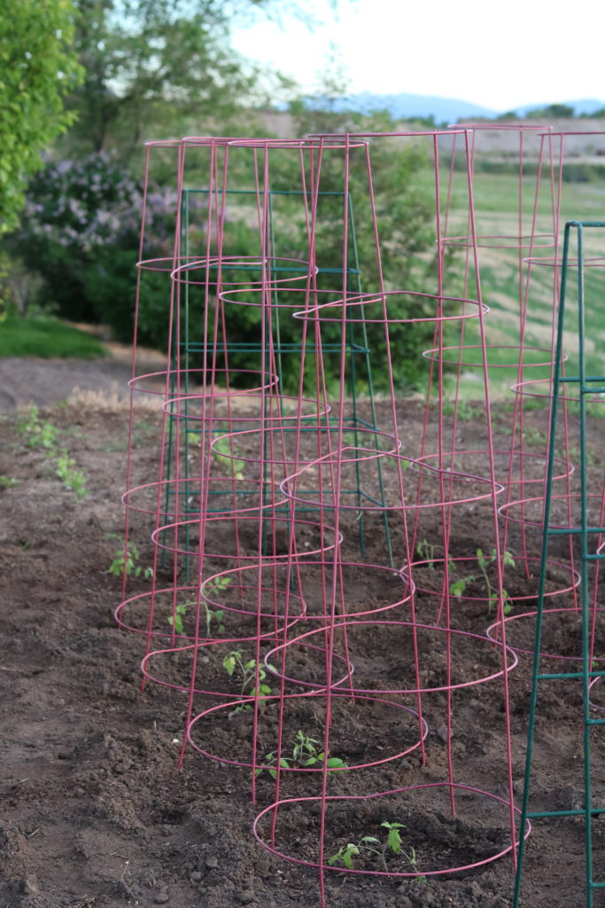 planting the garden